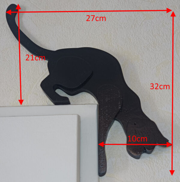 Dimensions du chaton intrépide
