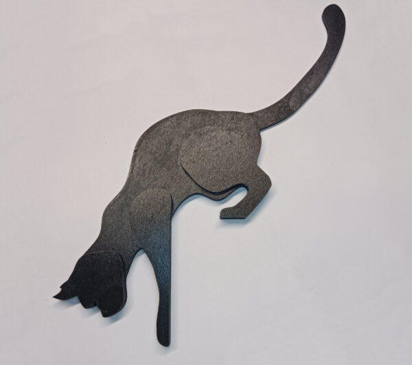 "chaton intrepide" noir gauche