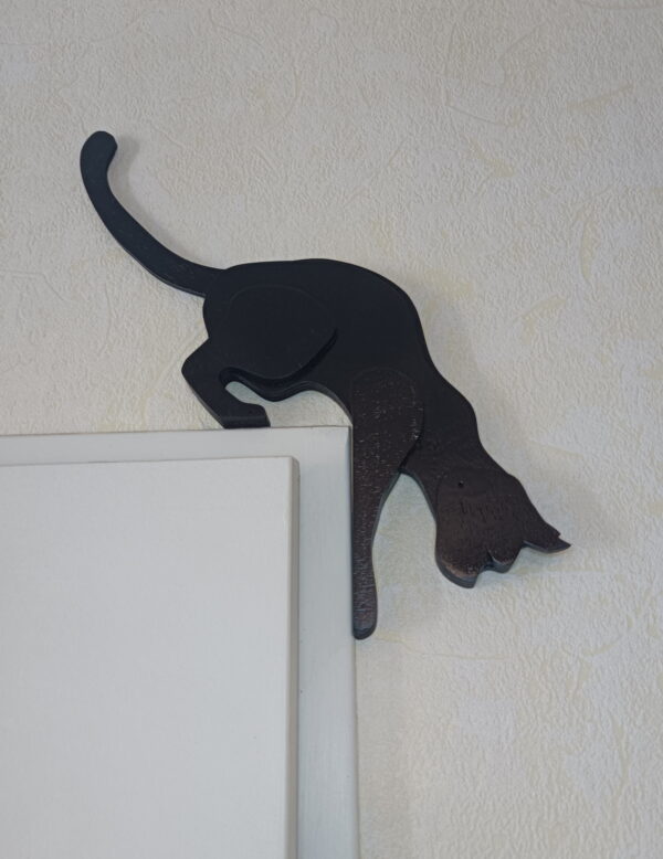 "chaton intrepide" sautant d une porte