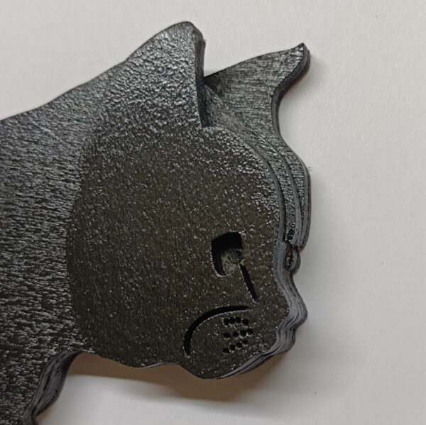 Bébé chat noir detail