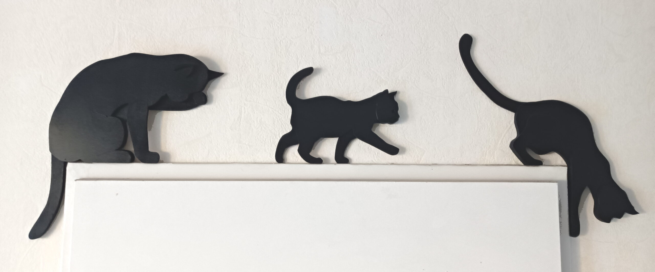 famille de chats famille de chats